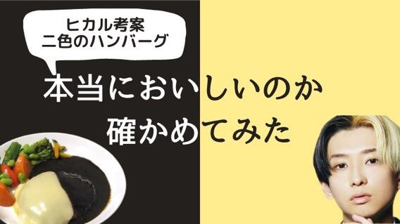 ヒカルのハンバーグ 冷凍 はまずい 食べて評判を確かめた 口コミ Moke Log もけろぐ